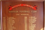 An example of a honour board we can manufacture to specification or update as required. Image 6